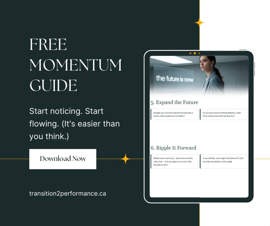 Free Momentum Guide